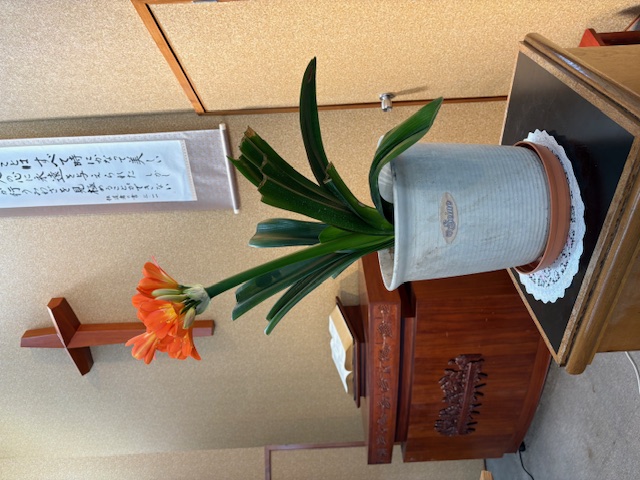 ������c �����q����