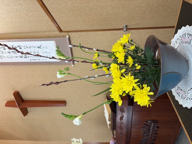 ������c �����q����